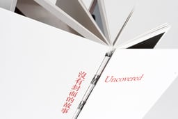 Design Case - Toby Ng Design design work cover image