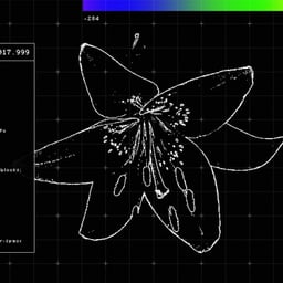 Visual Identity for Dekmantel 2016 cover image