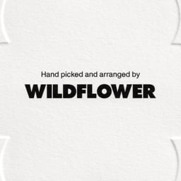 Brand Identity for Wildflower Cannabis Dispensary cover image