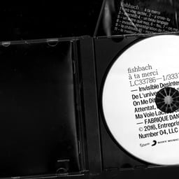 Album Artwork for Fischbach cover image