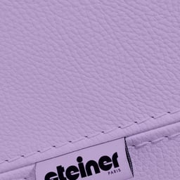 Logo Design for Steiner cover image