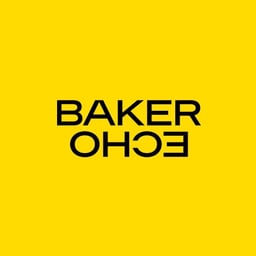 Brand Identity for Baker Echo cover image