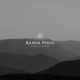 Website Redesign for Ramos Pinto Porto & Douro cover image