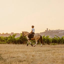 Brand Identity and Digital Experience for São Lourenço Do Barrocal cover image