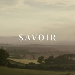 Digital Rebrand and Ecommerce Design for Savoir cover image