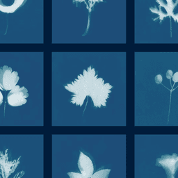 Visual Identity for Community Gardening Collective Grow to Know cover image
