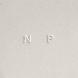 Branding and Website Design for Niccolò Pasqualetti cover image