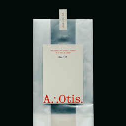 Brand Identity and Web Design for A.Otis Homewares cover image