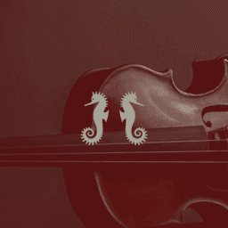 Identity and Website for Rare Violins of New York cover image