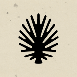 Brand Identity for Maison Sipulova cover image