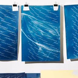 Cyanotype Calendar Design for 2025 Edition cover image