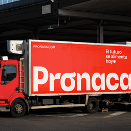 Brand Identity and Strategy for Pronaca cover image