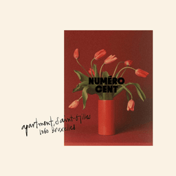 Brand Identity and Website Design for Numéro Cent Apartment cover image