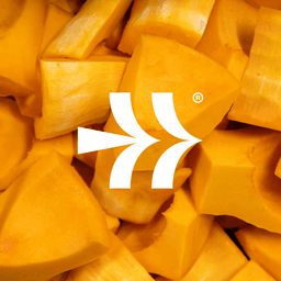 Rebrand for Natural Innovations cover image