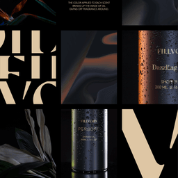 Brand Identity and Packaging for Fillvoid Lifestyle Brand cover image