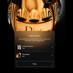 Digital Flagship Experience for Dior cover image