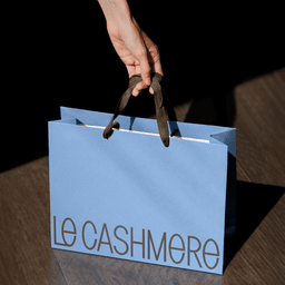 Brand Identity for Le Cashmere cover image