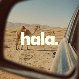 Brand Identity for UAE E-Hailing Service Hala cover image