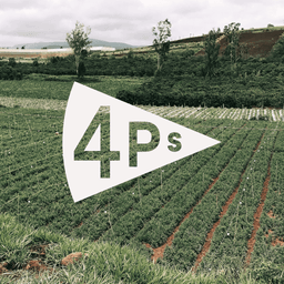 4P’s - Base Design design work cover image