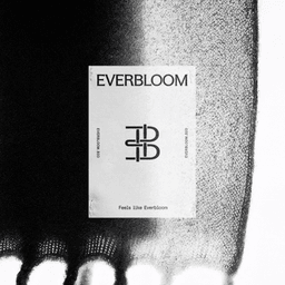 Brand Identity and Website for Everbloom cover image