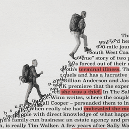 Key Art Design for the Salt Path Scandal Documentary cover image
