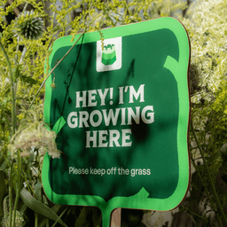 Visual Identity for Vilnius European Green Capital cover image