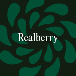 Brand Identity for Realberry Real Estate Platform cover image