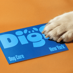 Naming and Brand Identity for a Modern Dog Care Platform cover image