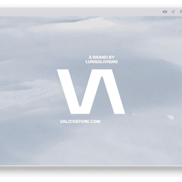 Naming and Visual Identity for Valico Fashion Division cover image