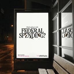 Brand Identity and Campaign for USAFacts cover image