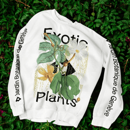Brand Identity for Jardin Botanique De Genève cover image