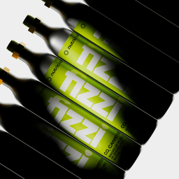 Branding and Packaging for Fizzi Soda Maker cover image