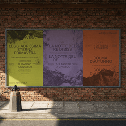 Visual Identity for La Notte Del Re Di Biss Festival cover image