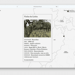 Website Design for Old Are the Vines cover image