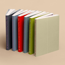 Visual Identity for Francisca Carvalho Pantalons cover image