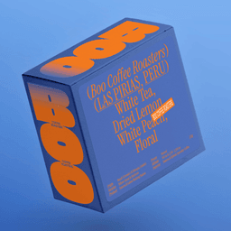 Brand Identity and Packaging for Boo Coffee Roasters cover image
