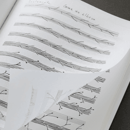 Editorial Design for Giuseppe Penone Exhibition Catalogue cover image