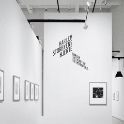 Exhibition and Visual Identity for Framed — American Urban Photography 1907–2012 cover image