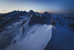Mammut digital flagship cover image