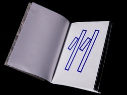 Revue Pinault Collection cover image