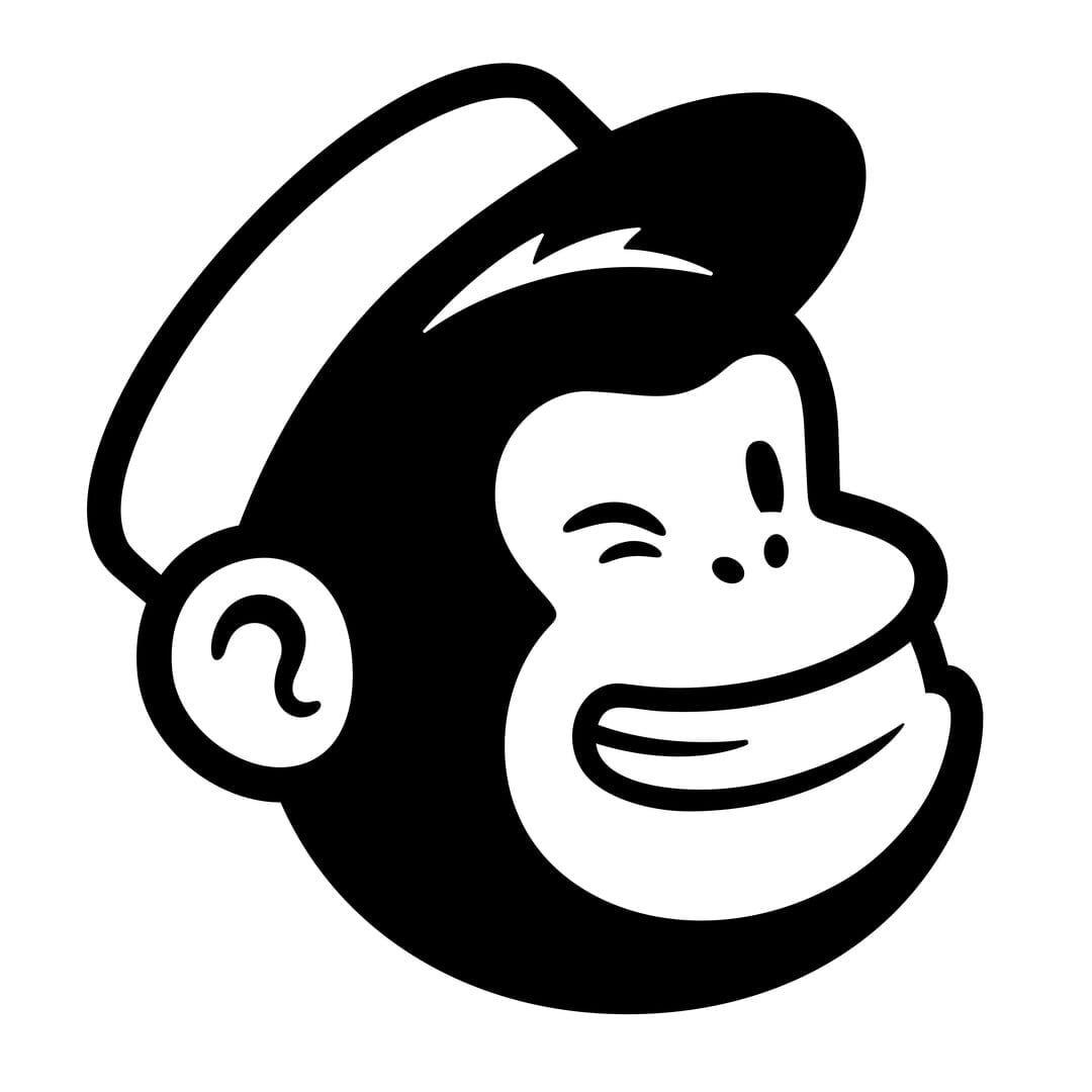 Brand Evolution and Portfolio Architecture for Mailchimp
