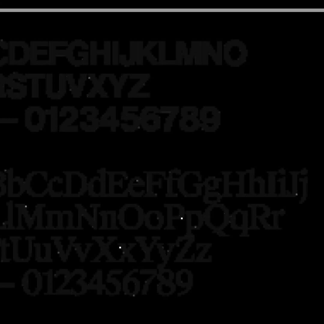 Brand Identity and Digital Experience for Modellus Novus