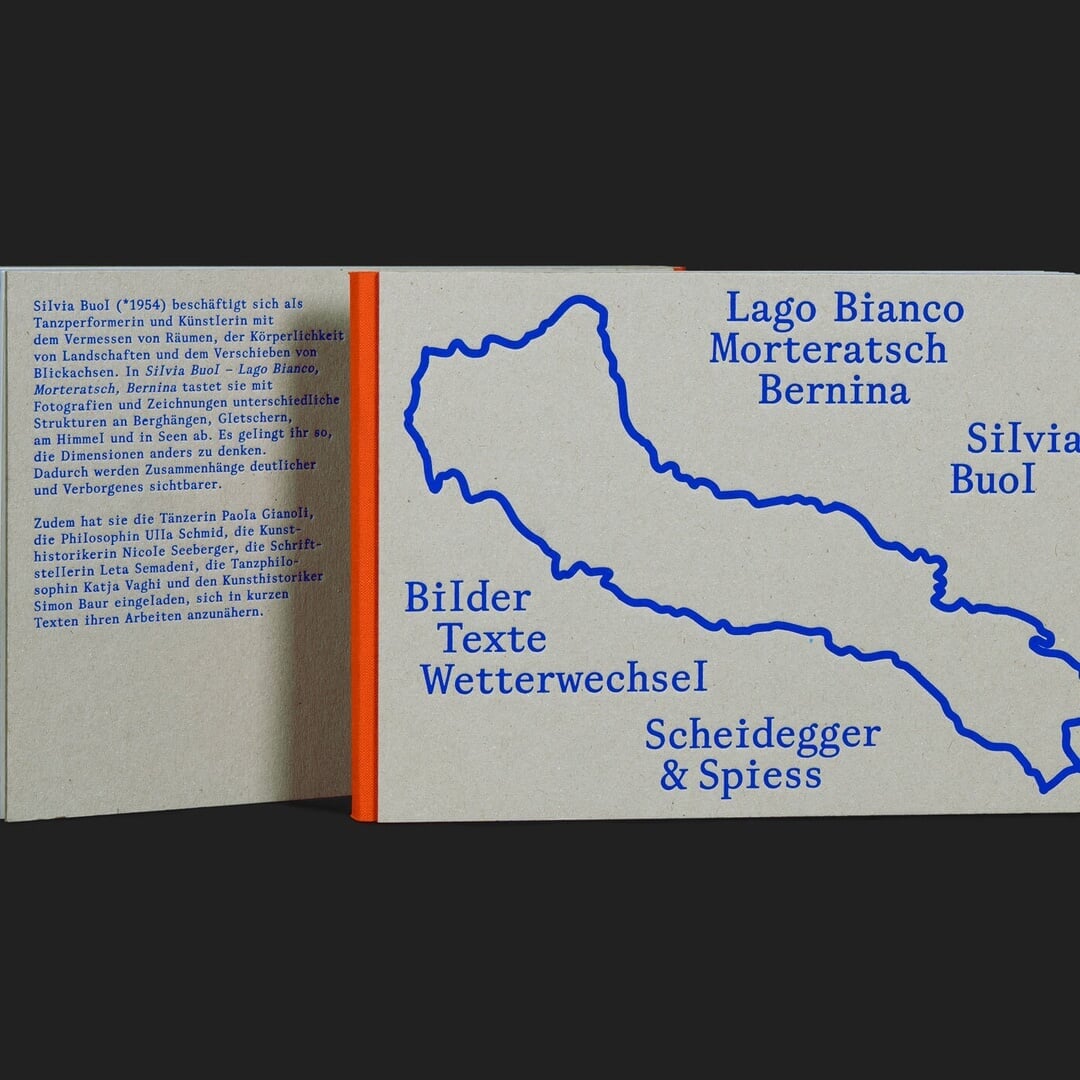 Visual Identity for Silvia Buol
