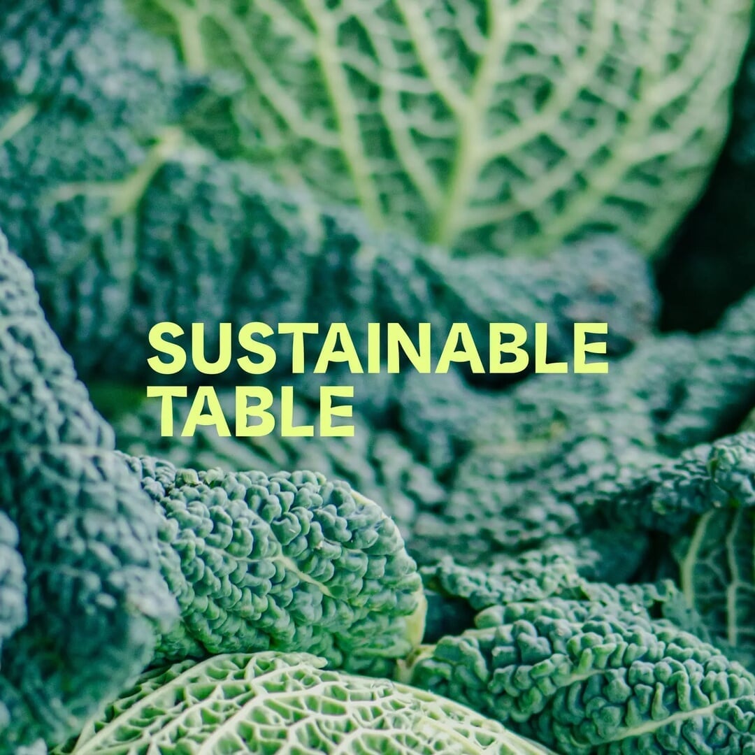 Brand Identity and Website for Sustainable Table