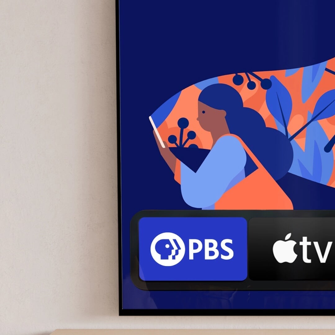 Brand Revitalization for PBS