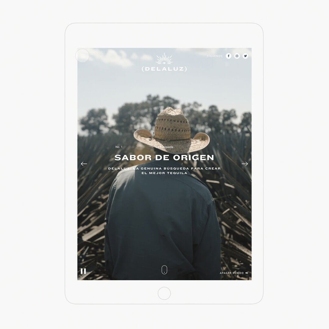 Branding and Digital Identity for Tequila Delaluz