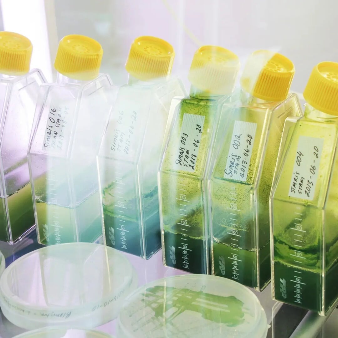 Brand Identity and Packaging for Simris Algae Products