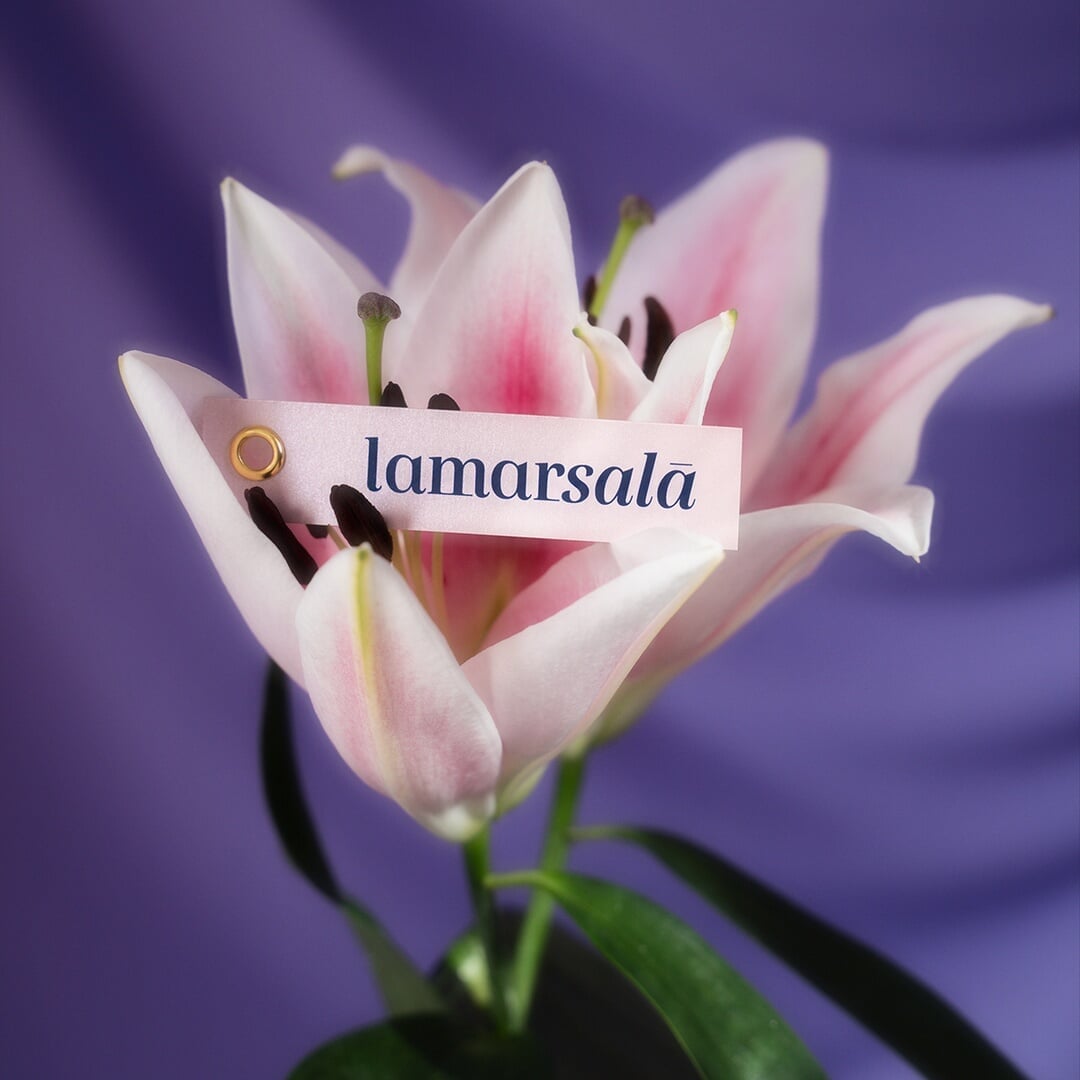 Visual Identity for Lamarsalá