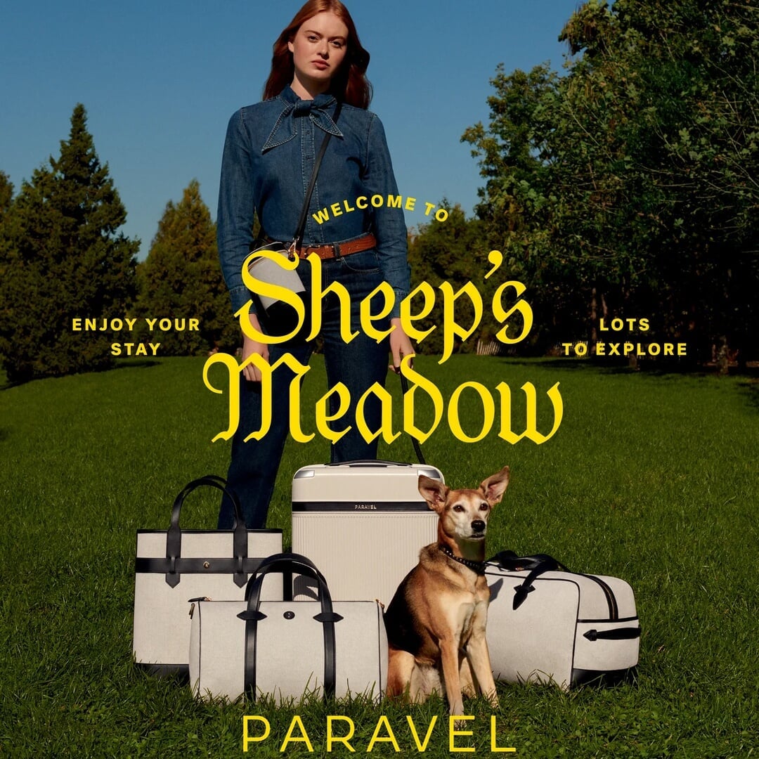 Campaign Development for Paravel Luggage