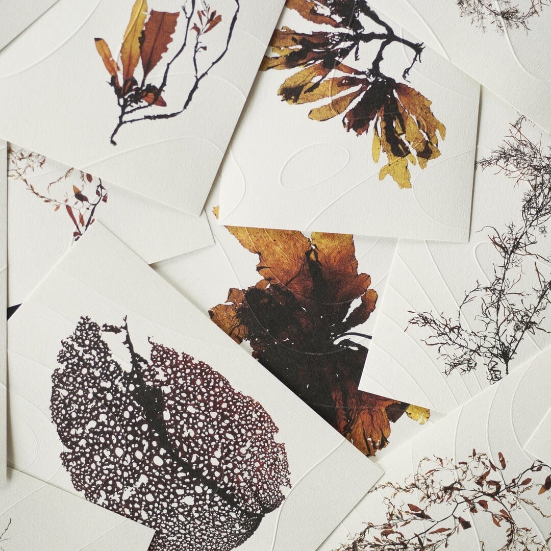 Brand Identity for Inua Restaurant in Japan